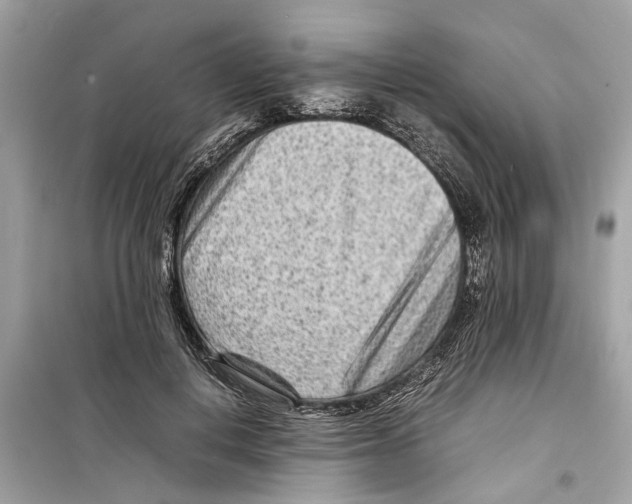 X0000098220648200805221649
