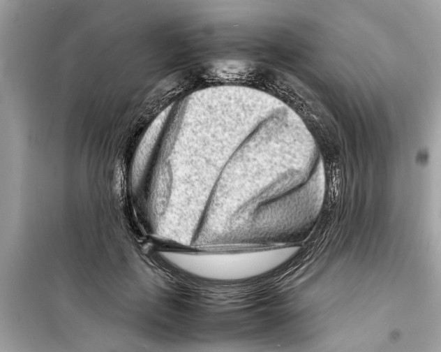 X0000098220651200805221649