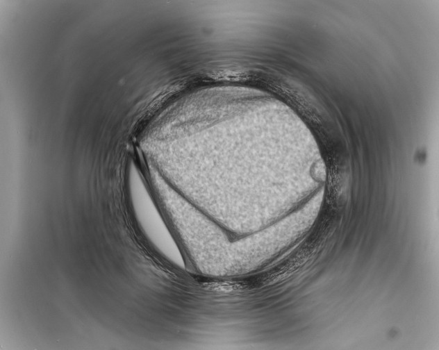 X0000098220652200805221649