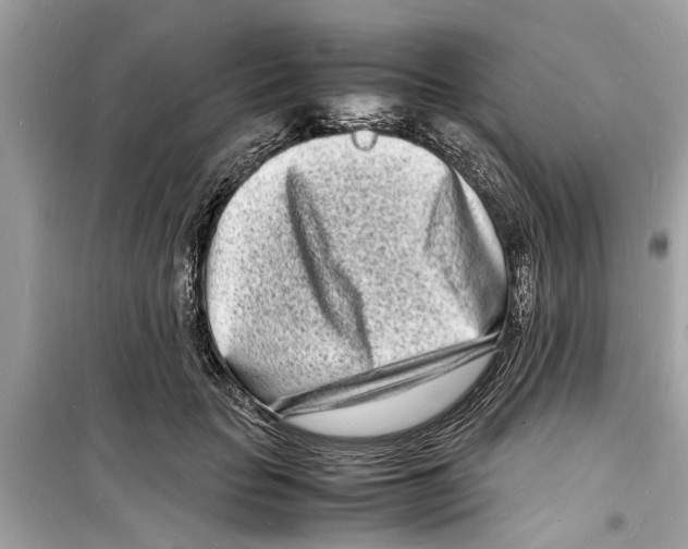 X0000098220653200805221649