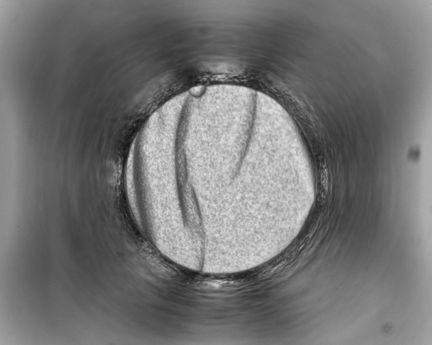 X0000098220657200805221649