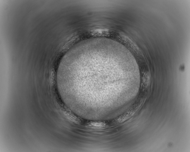 X0000098220659200805221649