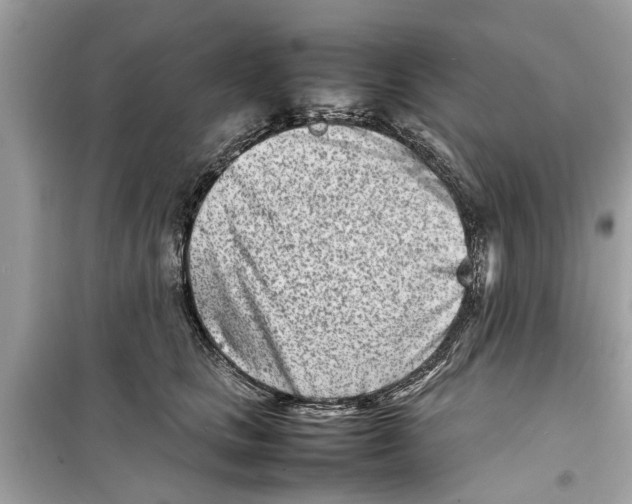 X0000098220661200805221649