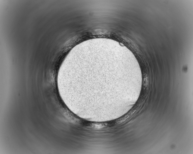 X0000098220662200805221649