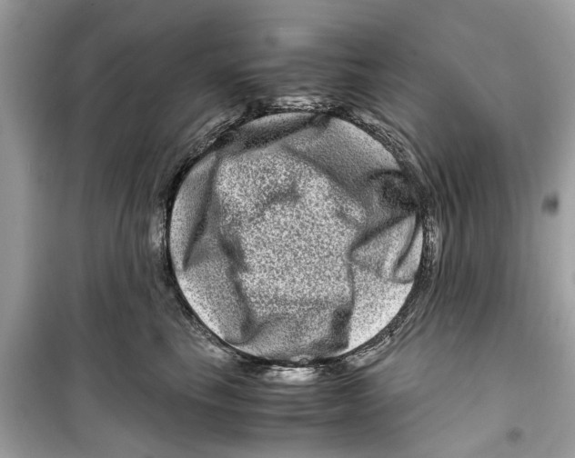 X0000098220665200805221649