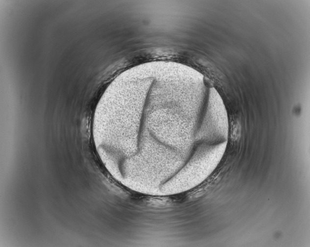 X0000098220666200805221649