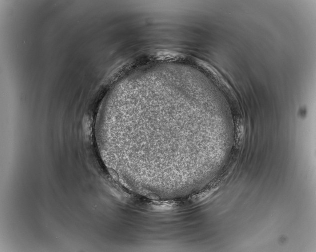 X0000098220667200805221649