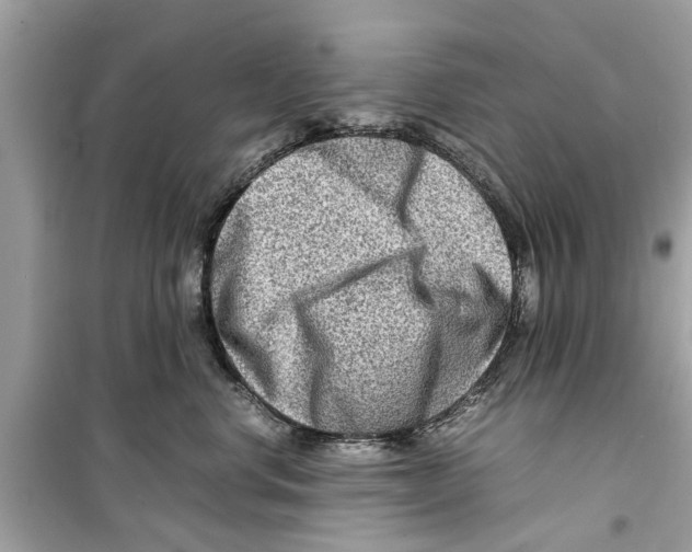 X0000098220668200805221649