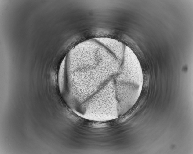 X0000098220669200805221649