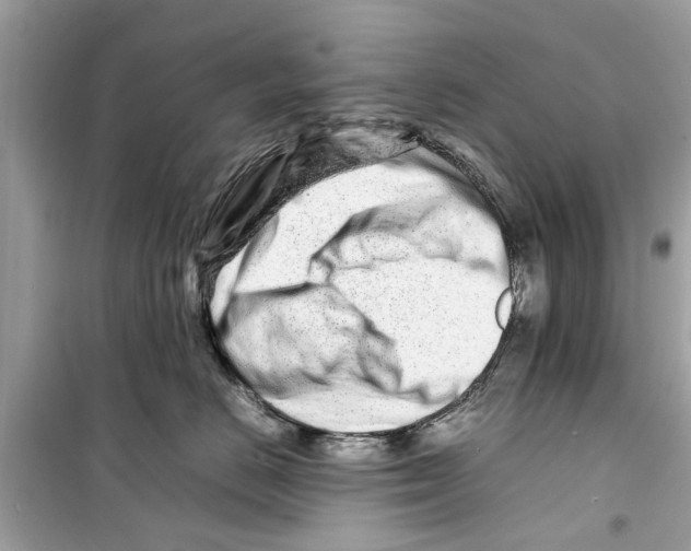 X0000098220670200805221649