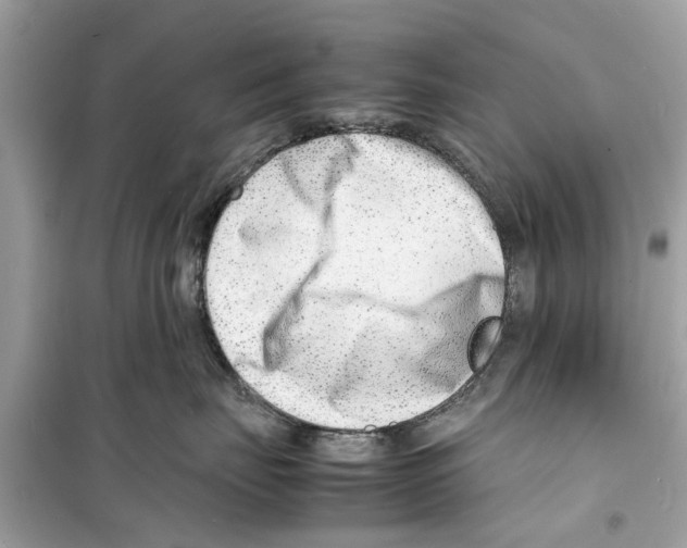 X0000098220671200805221649