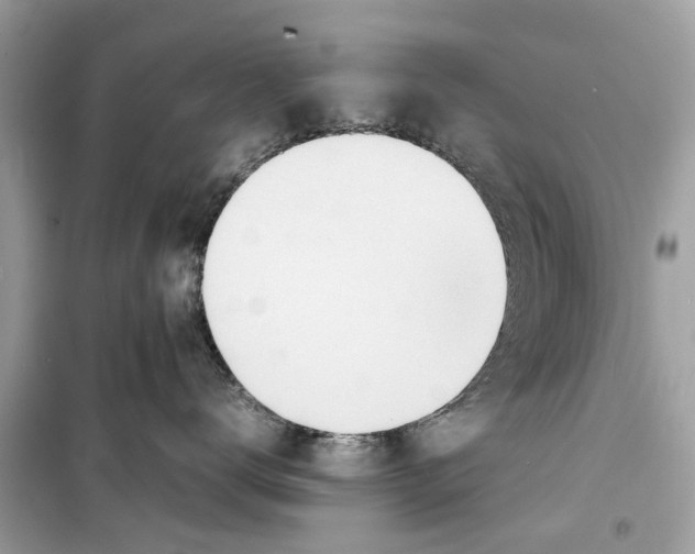 X0000098220672200805221649