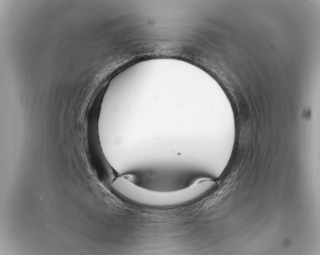 X0000098220673200805221649