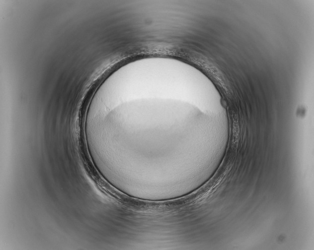 X0000098220674200805221649