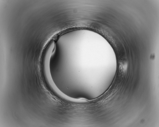 X0000098220676200805221649