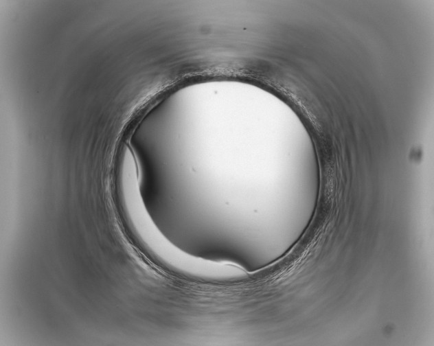 X0000098220677200805221649
