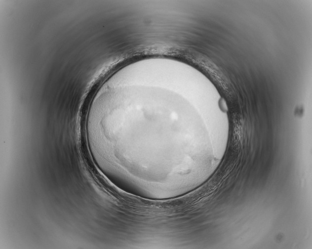 X0000098220678200805221649