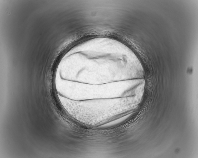 X0000098220679200805221649
