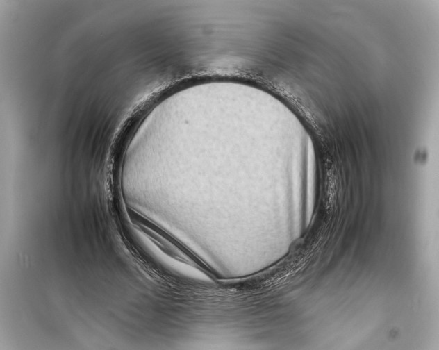X0000098220680200805221649
