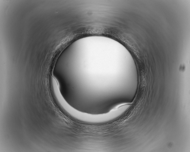 X0000098220681200805221649