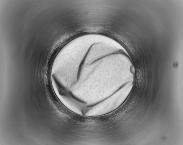 X0000098220682200805221649