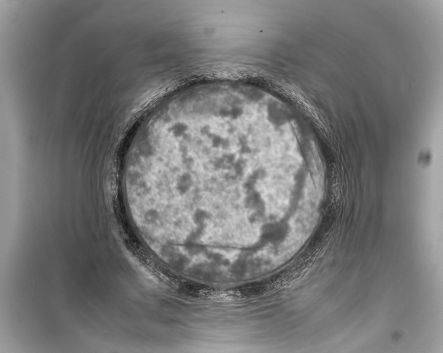 X0000098220683200805221649