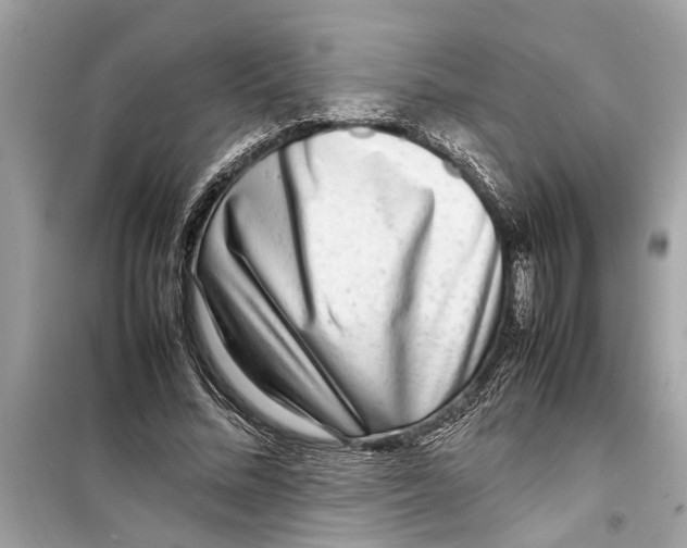 X0000098220684200805221649