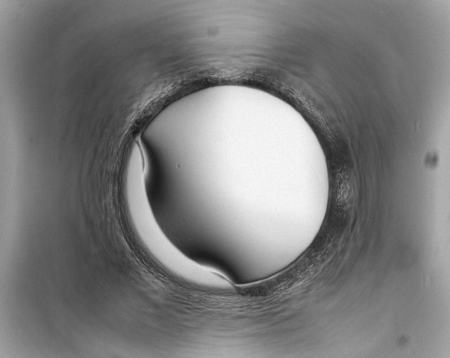 X0000098220685200805221649