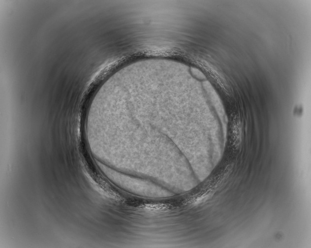 X0000098220686200805221649