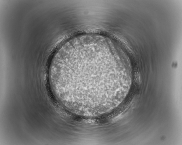 X0000098220687200805221649