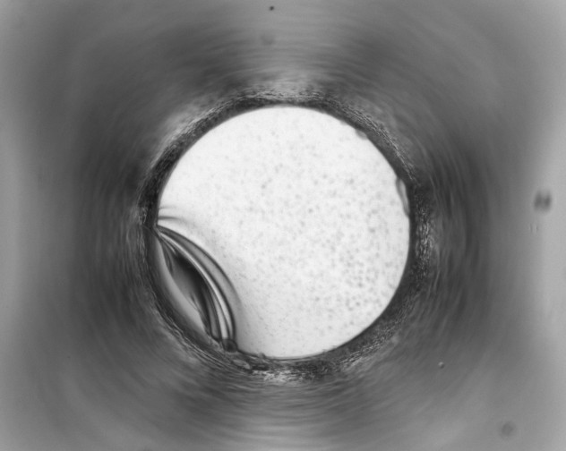 X0000098220688200805221649