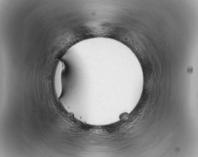 X0000098220689200805221649