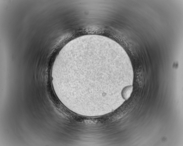 X0000098220690200805221649