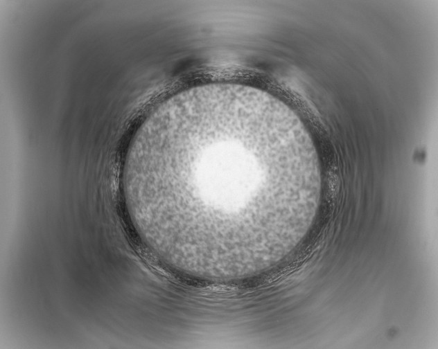 X0000098220691200805221649