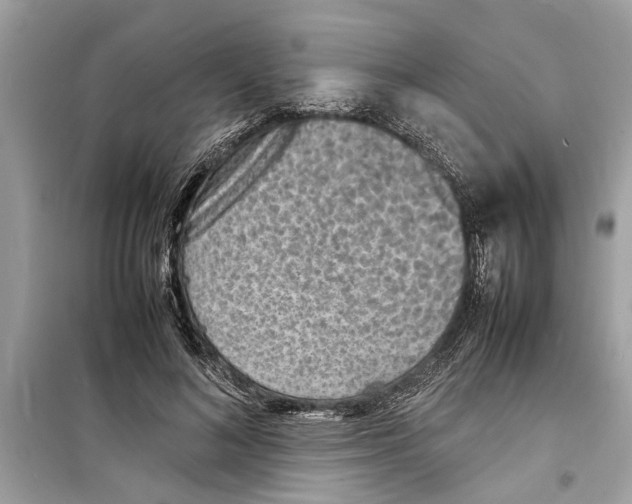 X0000098220692200805221649