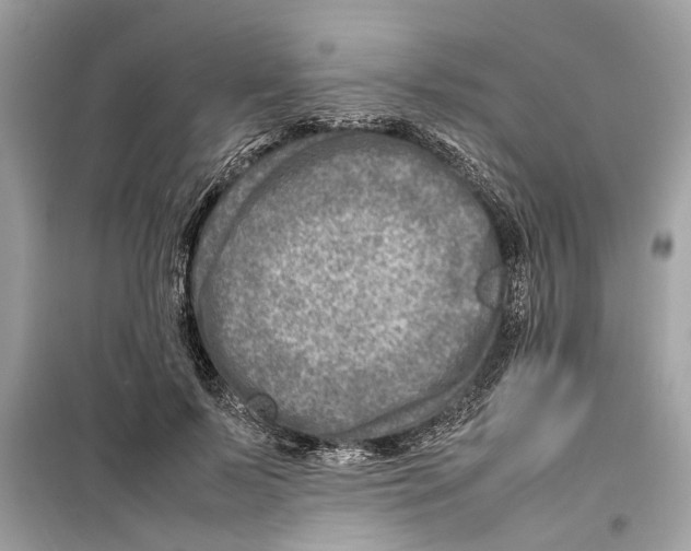 X0000098220695200805221649