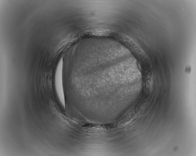 X0000098220696200805221649