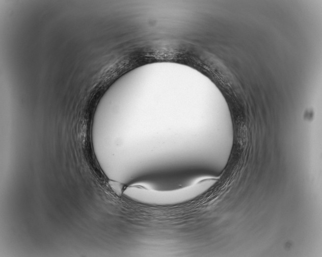 X0000098220697200805221649