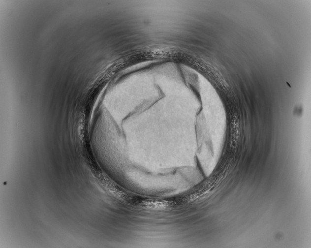 X0000098220698200805221649