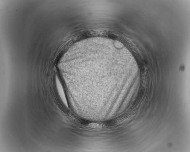 X0000098220699200805221649