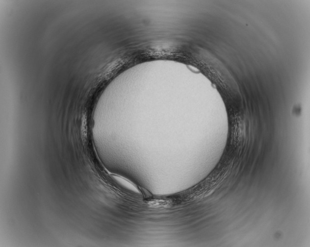 X0000098220700200805221649