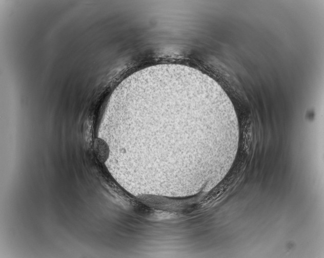 X0000098220708200805221648
