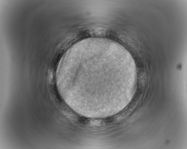 X0000098220709200805221648