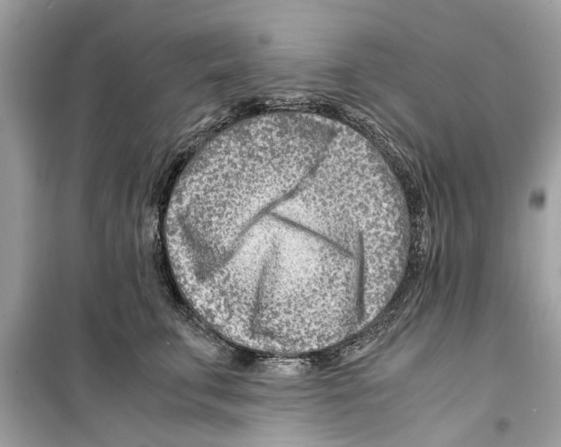 X0000098220711200805221648