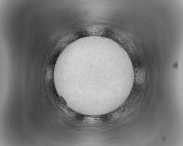 X0000098220713200805221648