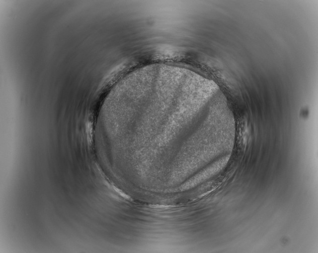 X0000098220716200805221648