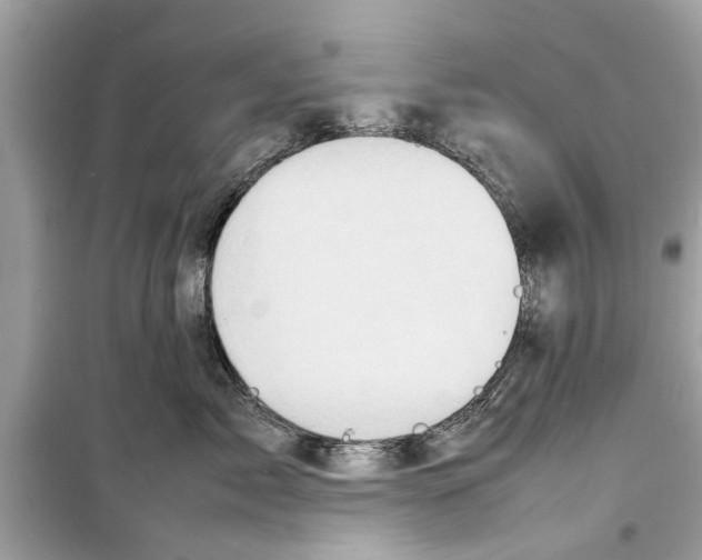 X0000098220717200805221648