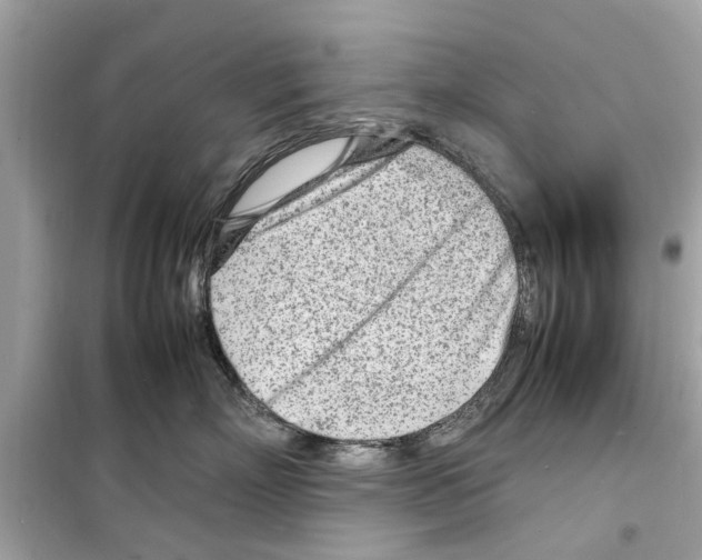 X0000098220718200805221648