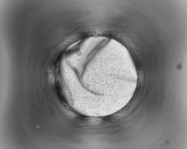 X0000098220719200805221648