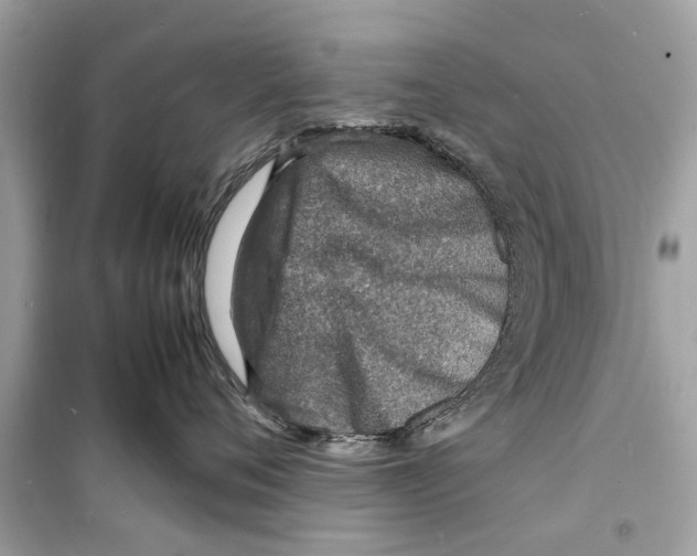 X0000098220720200805221648